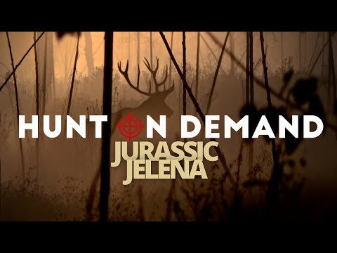 Trailer – JURASSIC JELENA – Hirschbrunft in Serbien – 2 Stunden Hirschjagd in den Donauauen