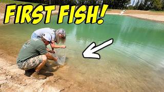 Building the Dream: Putting Fish in Our Homemade Pond!