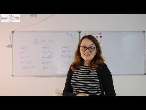 Lectii de limba engleza I