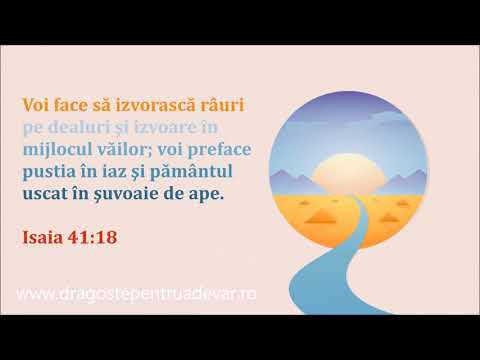 Andreea Leahu - Nu știam că-n juru-mi sunt izvoare