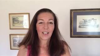 Deconstructing Meditation: Making Animal Communication Easier