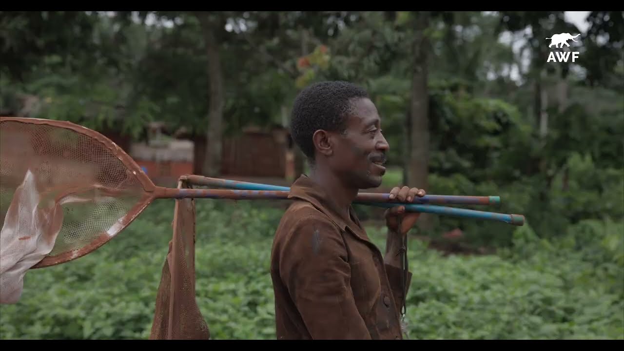 Raising Hope: How Fish Farming Is Changing Lives in the Congo Basin