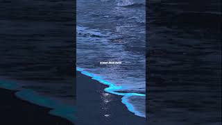 Download lagu Taylor Swift - Gorgeous | 'Ocean Blue Eyes' | Lyrical Edit | #lyrics #audio #taylorswift #gorgeous mp3 Download lagu Taylor Swift - Gorgeous | 'Ocean Blue Eyes' | Lyrical Edit | #lyrics #audio #taylorswift #gorgeous mp3