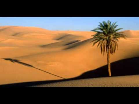 Dar Meshq (Stronghold Crusader) - longer version (2)
