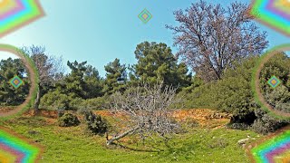 Little River Band - Mr  Socialite