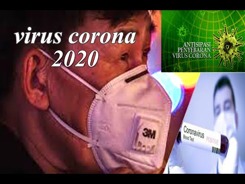 Coronavirus whistleblower doctor is online hero in China