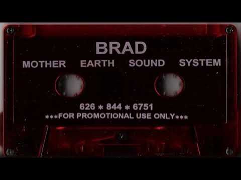 DJ Brad [Moontribe] -  Earth Heart