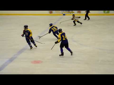 20. 1. 2019 Mistr. utkání Litvínov - Slovan Ústí n/L (36)