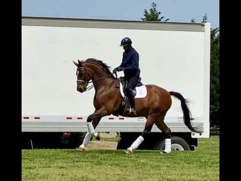 Be Cool Metall - SOLD !!