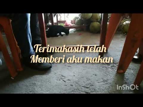 Terimakasih telah memberi aku makan