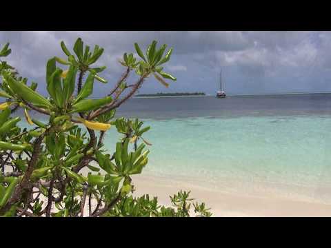Natural relaxation Vilamendhoo island. Maldives.