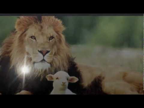 cordero y león(letra) - NEW WINE