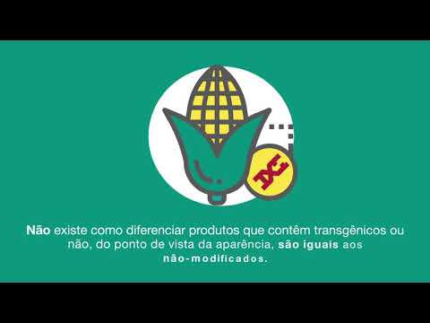 Tudo sobre transgênicos