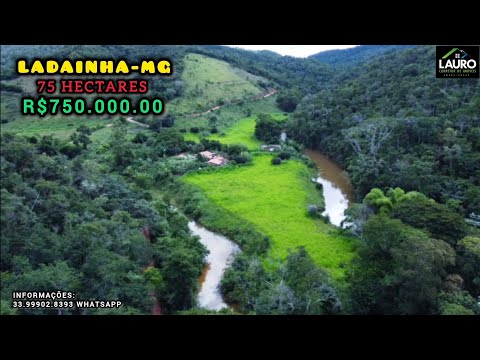 ✨️FAZENDA 15 ALQUEIRES REGIÃO POTE-MG VÍDEO ATUALIZADO COM DRONE✨️