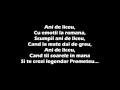 StelaEnache-Ani de liceu house cu versuri.mpg ...
