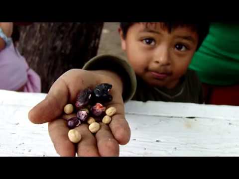 O que é chessed? Ahavat Chessed!