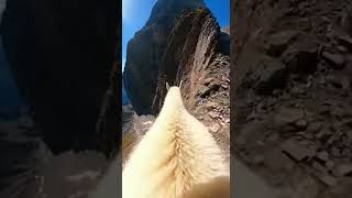 POV: Walking a Cliff as a Montain Goat | #goat #chill #asmr