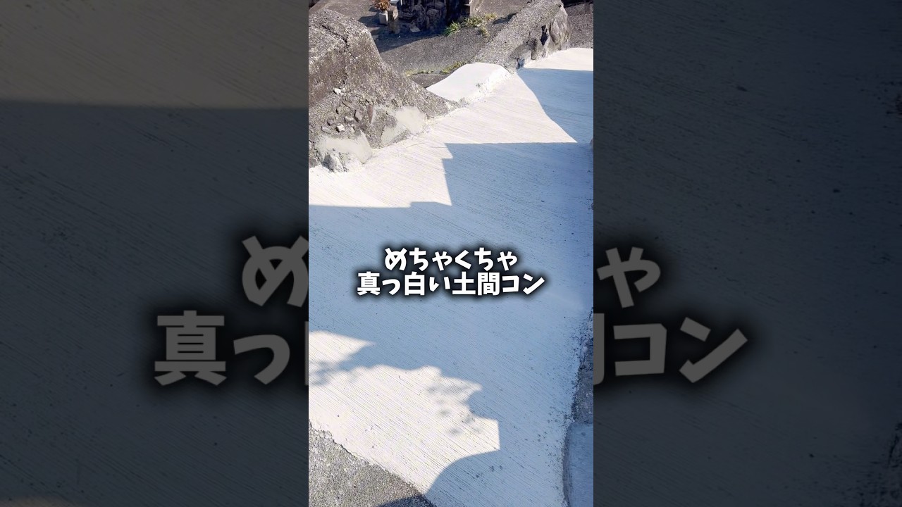 めちゃくちゃ真っ白い土間コン　#庭コン #土間コンクリート
