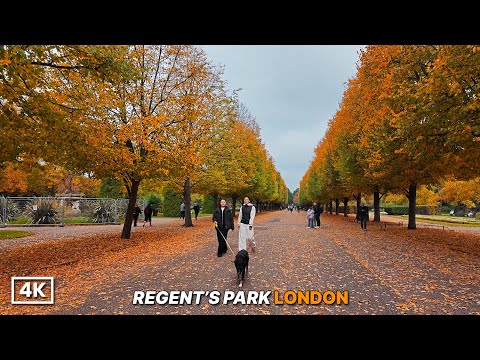 LONDON WALK | Golden Autumn in Regent’s Park 🍂 Peaceful Sunday Walk Through London’s Colours | 4K