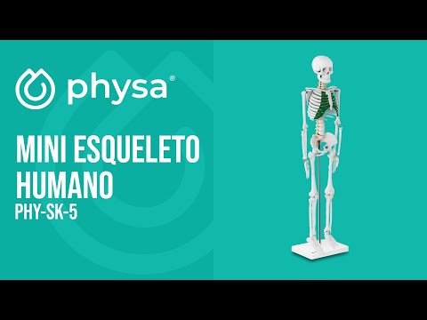 vídeo - Mini esqueleto humano - 85 cm