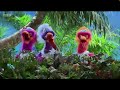 Wrong Places Form Zingzillas Series 4 Picnic Day