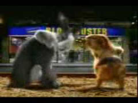 Goyang uut permata sari