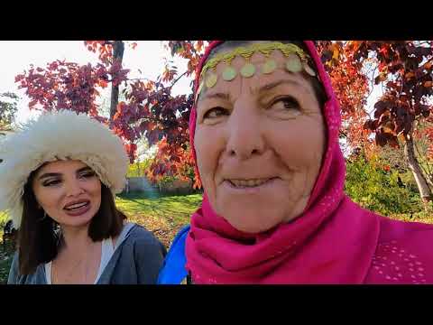 Ləzzət Axtarışında / 22.11.2025