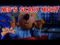 Ned S Scary Night KoalaBrothersTV Fullepisode Children S Animation Series