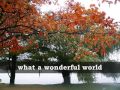 WHAT A WONDERFUL WORLD - Louis Armstrong (Lyrics)