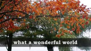 WHAT A WONDERFUL WORLD - Louis Armstrong (Lyrics)