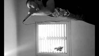 oceano - Slaughtered Like Swine[COVER]