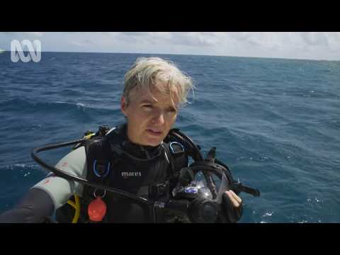 Trailer Can We Save The Reef?