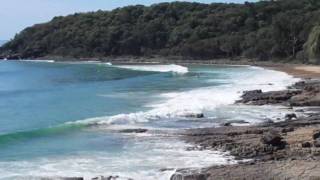 Lookout For The Drop Bears! - (April 29, 2010 - Daily Vlog) - Video #2