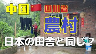 中国の田舎はどんな感じ？日本と何が違う？四川省農村に住んでいる83歳おばあちゃんの家をご紹介します〜