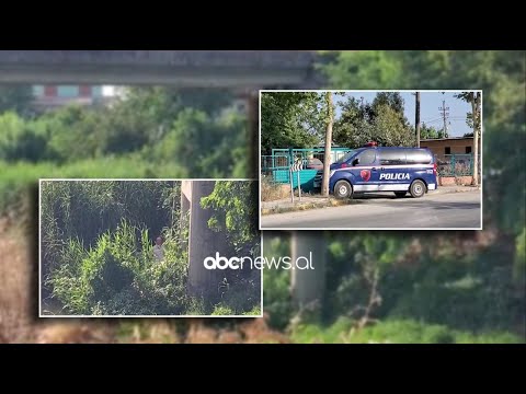 Gjendet i pajetë anës lumit 67-vjeçari në Fier  | ABC News Albania