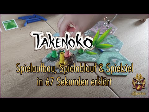 Takenoko in 67 Sekunden | Spielaufbau, Spielablauf und Spielziel kurz erklärt