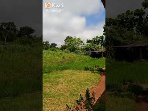 Saudades do meu lá, fazenda grama Jurema Licínio de Almeida Bahia