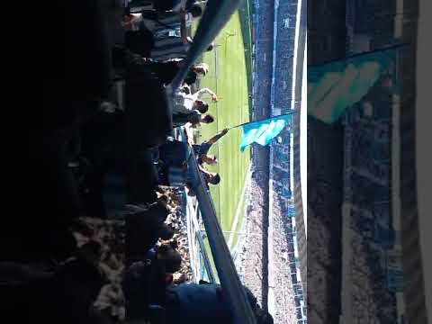 Nadie comprende que yo venga alentarte🎶⚔️🇦🇷💪