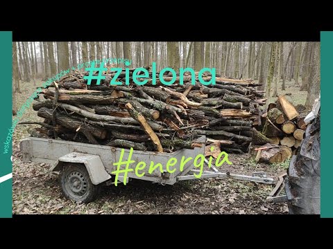 homemade wood in the forest #energetic #wood #fuel