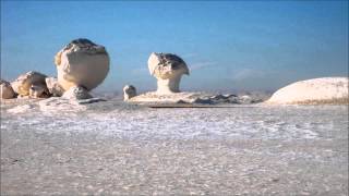 Peter Benisch - The White Desert