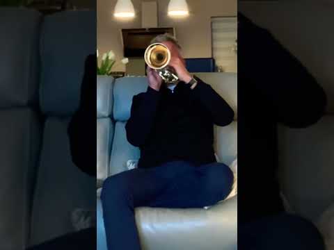 Goodbye to love, The Carpenters #cornet