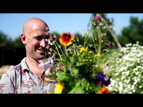 Bloemenplukweide in Aartselaar