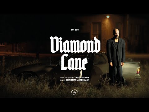 bat zoo - Diamond Lane