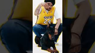 Jatt da muqabla sidhu moose wala whatsapp status #viral #sidhumoosewala