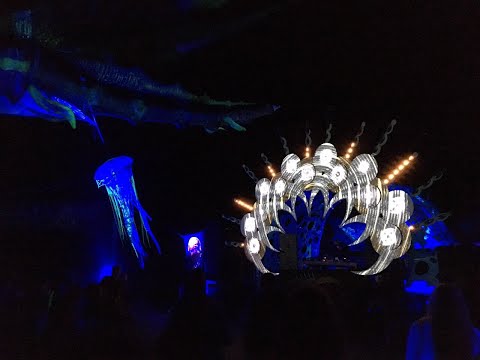 confo free earth festival