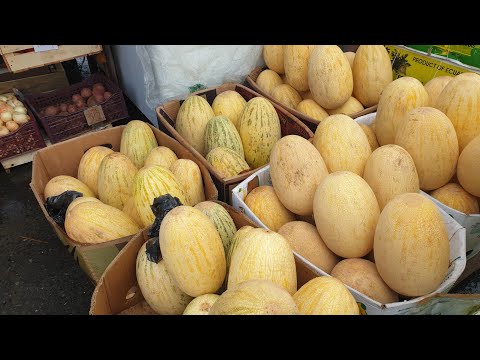 Где купить сладкие дыня санбой тв