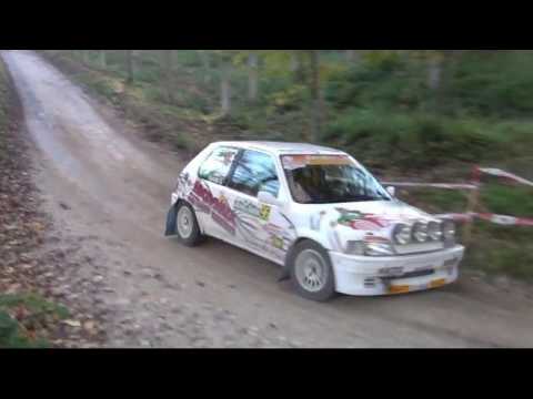 BALCONE DELLE MARCHE 2017 SELVESTREL MICHELETTO PEUGEOT 106 RALLY