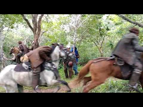 vaqueiro correndo boi no Mato