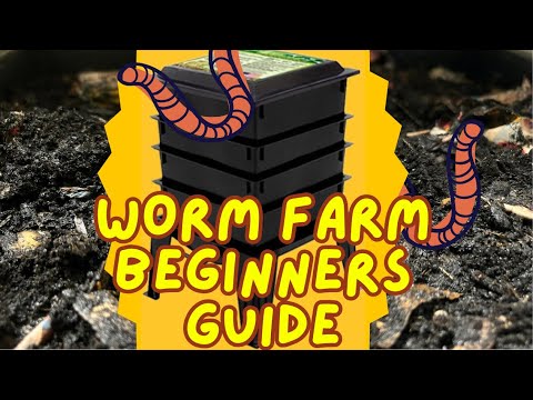 Worm Factory 360 | Unboxing & Setup