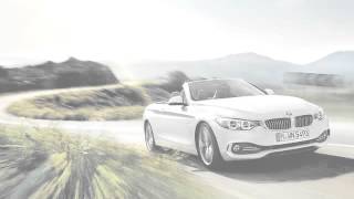 TV  - The Flying Lizards  (cover)